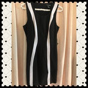 NWT F21 DRESS ❤️❤️❤️
